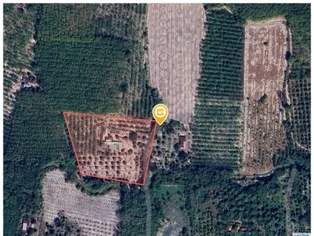 Bán đất 10733.7m² ngang 100m giá 18 tỷ Phường Minh Hưng