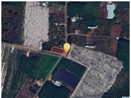 Bán đất 834.9m² ngang 16,5m giá 3.5 tỷ Phường Minh Hưng