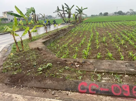 CHÍNH CHỦ BÁN LÔ ĐẤT TẠI HƯNG HÀ,THÁI BÌNH – 138M2 - VỊ TRÍ ĐẸP - GIÁ TỐT ĐẦU TƯ