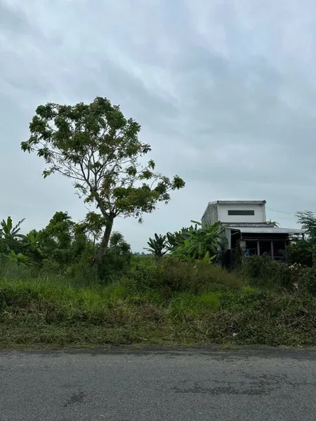 Bán đất QL60 gần Kho Bia 300.1m² ngang 10m giá 2.6 tỷ Xã An Ninh