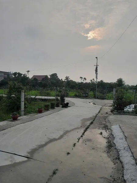 Bán đất 70,7m² ngang 4,5m giá 920 triệu Xã An Trường( Trường Thành) liên hệ 0362558882