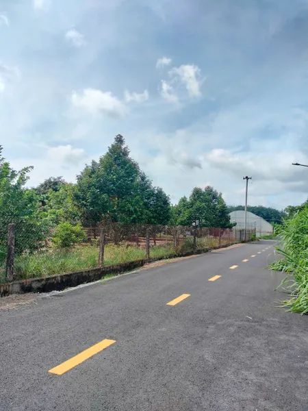 📍 Đất thổ cư mặt tiền An Long - Gần KCN An Long - Giá hợp lý