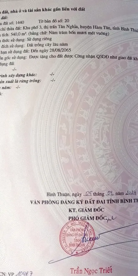 Bán đất trung tâm thị trấn Tân Nghĩa - Hàm Tân - Bình Thuận