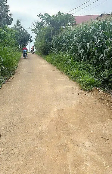 Bán đất 100m² giá 175 triệu Xã Ea Na