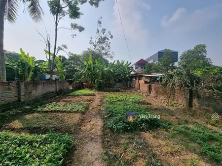 Bán đất minh trí sóc sơn, ô tô tránh, 250m2, mt 9m, chỉ 18.5tr/m2.