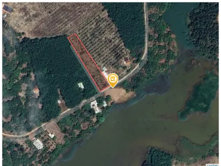 Bán đất 2837m² ngang 25m giá 870 triệu Xã Tân Lợi sẵn 200 thổ cư