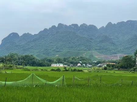 Tôi cần bán gấp 676m cực đẹp kim bôi hòa bình ngay gần suối khoáng đất giá rẻ hòa bình
