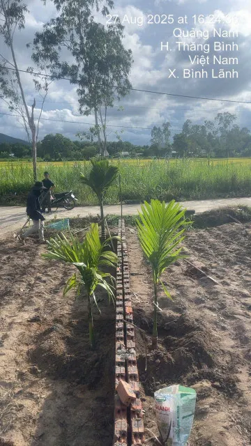 Bán lô đất đẹp Đồng Dương, Thăng Bình,  ngang 12, giá 980 triệu tiện nhà vườn.