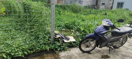 Bán đất 55m² ngang 4,25m giá 1.2 tỷ Phường An Dương( An Dương). liên hệ 0362558882