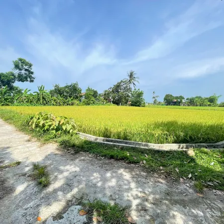 Bán lô đất đẹp Đồng Dương, Thăng Bình,  ngang 6, giá 490 triệu tiện nhà vườn.