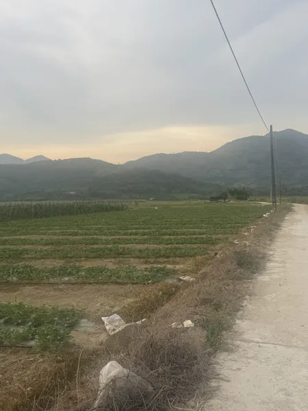 Bán đất 702m² ngang 118m giá 420 triệu Xã Diên Lâm