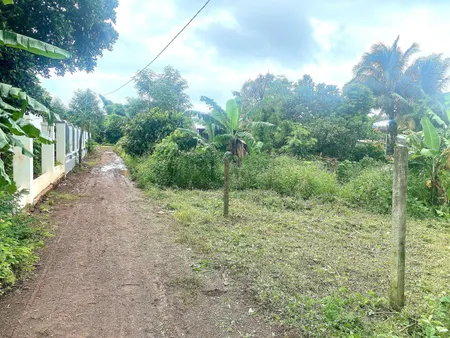Bán đất 185m² giá 350 triệu Xã Ea Nuôl