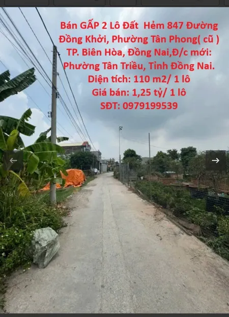 Chính Chủ Cần Bán GẤP 2 Lô Đất  Hẻm 847 Đường Đồng Khởi, Phường Tân Phong( cũ ) TP. Biên Hòa, Đồng Nai