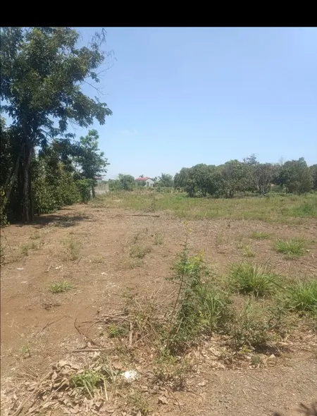 Bán đất 1259m² giá 600 triệu Xã Ea Na