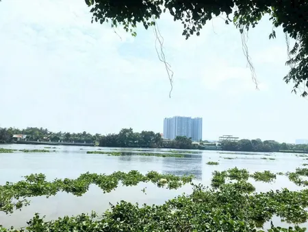 Bán đất 470813.3m² ngang 100m giá 800 tỷ Xã Lương Hòa