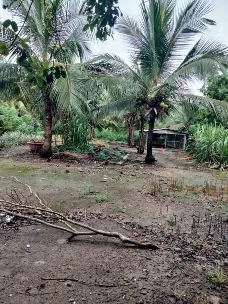 CHÍNH CHỦ CẦN BÁN LÔ ĐẤT CÓ VỊ TRÍ ĐẸP TẠI XÃ AN CƠ - H. CHÂU THÀNH  - TÂY NINH.