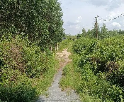 Chính chủ cần bán mảnh đất 8700m2 tại Phú Mỹ, TP Bà Rịa – Vũng Tàu