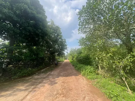 Bán 1.85 ha đất vườn giá rẻ. Đường Kim long. Xã quãng thành. Châu Đức