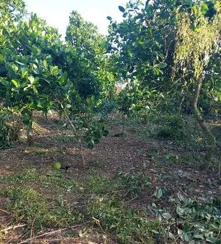 Bán lô đất mặt tiền Tân Hải, Tp. Phú Mỹ, Bà Rịa – Vũng Tàu