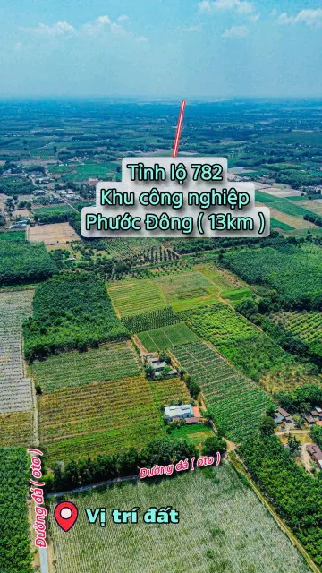 Bán đất Tây ninh giá rẻ