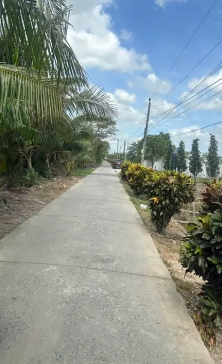 Bán đất lộ đan Trường Lộc 7201.1m² ngang 24.9m giá 1.51 tỷ Xã Trường Khánh