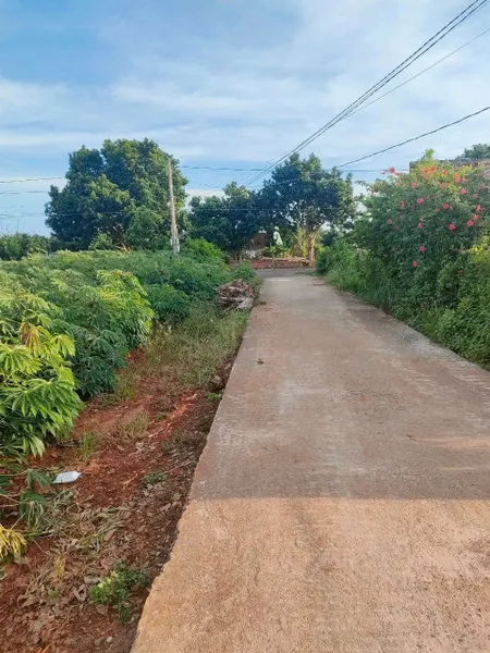 Bán đất 2157.1m² ngang 10m Xã Xuyên Mộc
