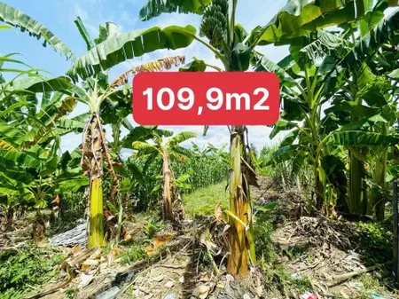 DA68 Bán đất hẻm 4m thôn Phú Ân Nam - Diên Khánh (diên An)