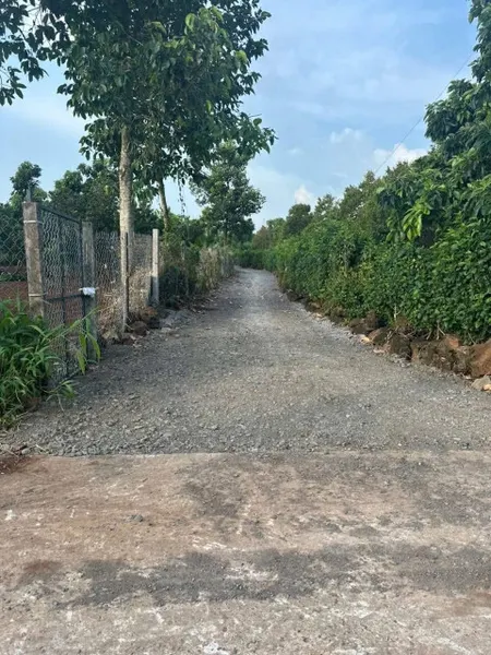 Bán đất vườn Phú Lợi - Định quán
