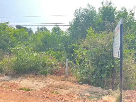 Bán 10m x 100m đất thổ cư Đường Lương Định Của, LaGi giá rẻ nhất gần UBND