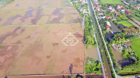 Bán đất kcnchâu giang i tỉnh hà nam mới