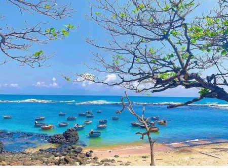 19 lô đất biển rẻ hơn 1 căn nhà phố. cơ hội đầu tư hơn lúc nào hết
