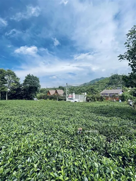Bán 350m2 đất tại yên bài ba vì hà nội quần thể nghỉ dưỡng thế đất cao view thoáng giá hơn 4 tỷ