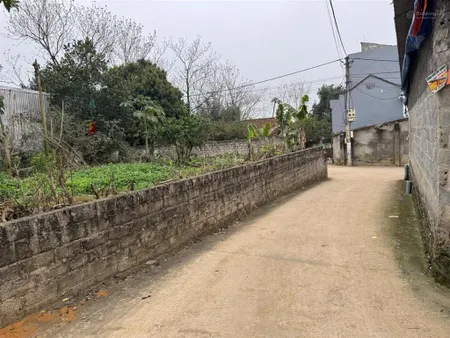 A24 siêu phẩm giá rẻ đất vàng bạch thạch, hòa thạch phú cát