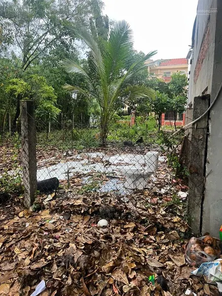 Bán lô đất biệt thự 2mt hẻm xe tải gần sông sài gòn gần đường , khu đảo ngọc qh đẹp nhất sài gòn