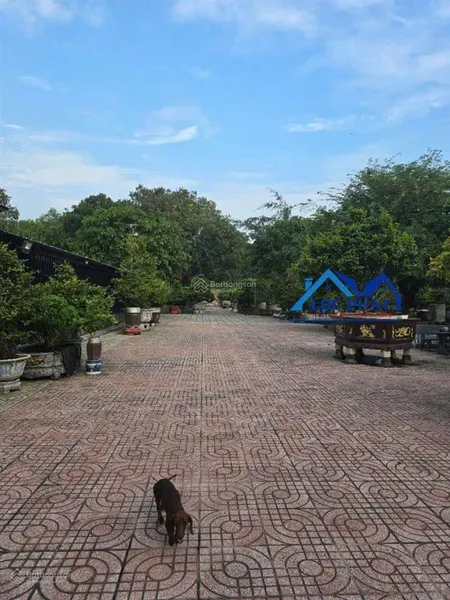 Bán nhà vườn nghỉ dưỡng phú hội, nhơn trạch, 3.045m2, chỉ 22 tỷ