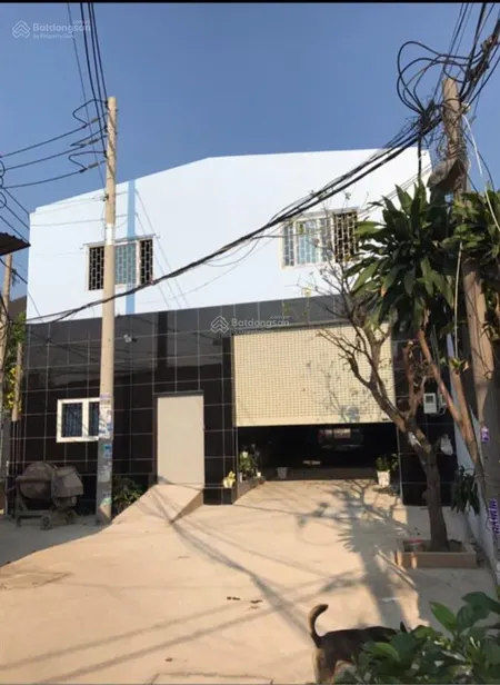 Bán gấp 500 m2 kho xưởng full thổ cư trần đại nghĩa, giá bán 17,5 tỷ, shr, 0961 022 ***