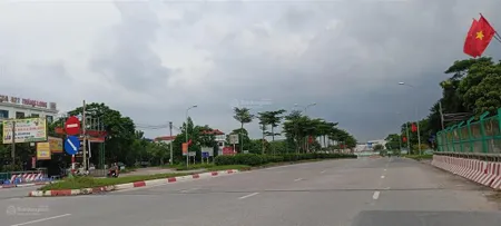 Tuyệt đỉnh sáp mai.hoa hậu võng la cũ. giá đẹp. kinh doanh