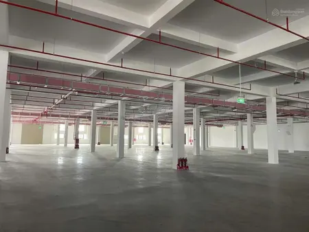 Bán kho xưởng nhỏ tại đường 823 đức hoà long an gần trung tâm hành chính hậu nghĩa