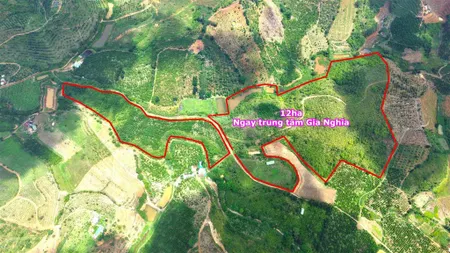 12ha đất tại trung tâm thành phố gia nghĩa giá rẻ đất bằng view suối