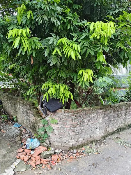 Bán đất tại xuân phương, nhỉnh 9 tỷ, 50m2, pháp lý đầy đủ, mặt tiền 4m