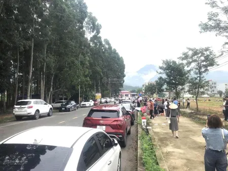 Bán nhanh lô góc b1 đất đấu giá quan nội, tam quan, tam đảo, vĩnh phúc