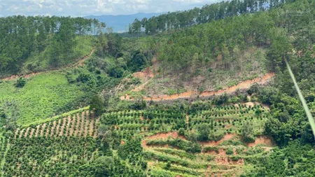 Bán đất mặt tiền đường an sơn, p4, đà lạt. đất đẹp view rừng thông chưa qua đầu tư