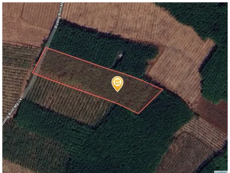 Bán đất 21000m² Phường Bình Cơ