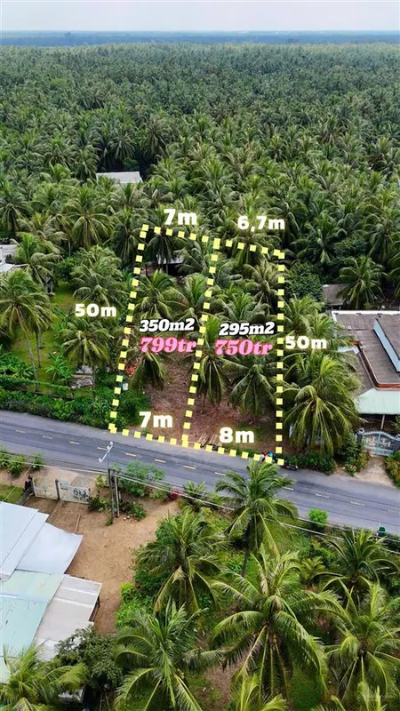 324m2 (8x50) mặt tiền đường tỉnh 877b kinh doanh sầm uất đầu tư giá hời chỉ 799 triệu