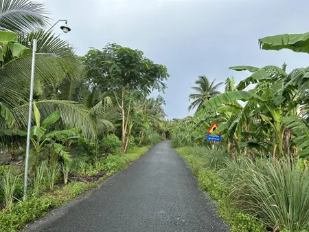 Bán đất mặt tiền đường nguyễn thị định, lai hiếu, tp ngã bảy, hậu giáng