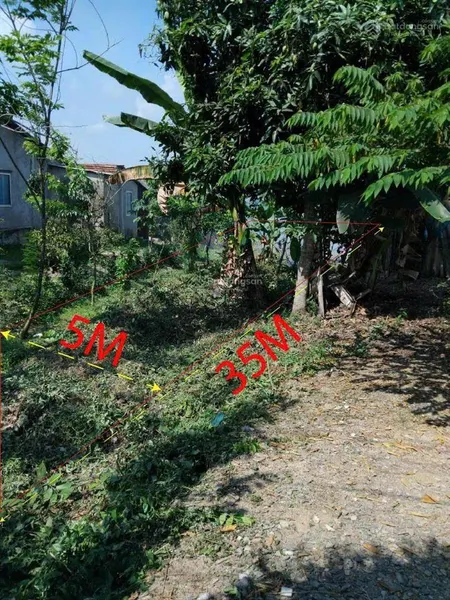 Đất nền mặt tiền kênh 3 phú điền, giá cả thương lượng thêm