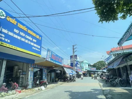 Bán Đất – Thanh Chí (Minh Phú – Sóc Sơn) – 233m² – 6,05 Tỷ – Trục Chính Thôn – Đường 10m – Full Thổ Cư