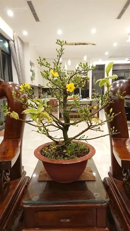 Chính chủ bán biệt thự song lập marina ecopark hàng hiếm vị trí đẹp giá tốt