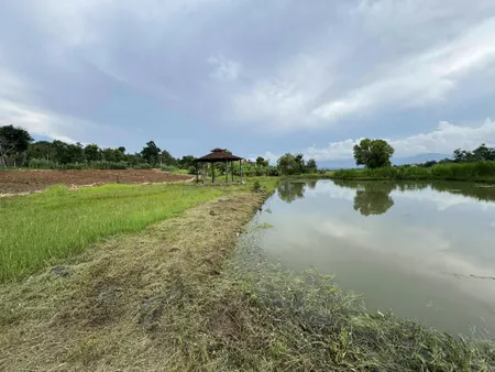 Bán đất 665.9m² giá 699 triệu Xã Ea Ning
