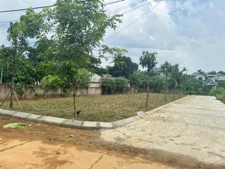 A43 lô góc 2 mặt tiền miễu tiến xuân 318,3m (100m thổ cư lâu dài)